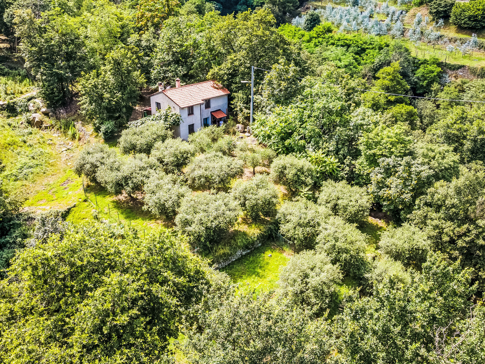 Aerial photography