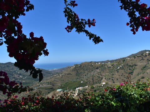 Finca Ortiz mit privatem Pool