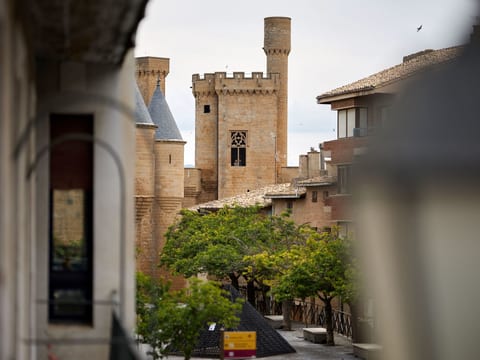 El Mirador de Olite
