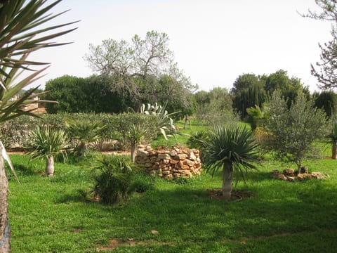 Ferienvilla mit Garten, Grill und Terrasse