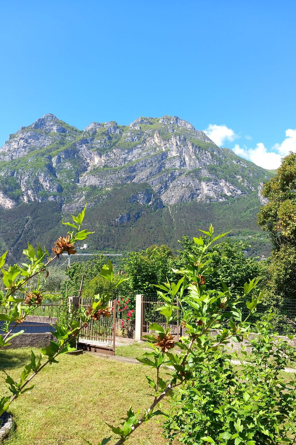 Villa im Grünen in Riva del Garda mit Terrasse