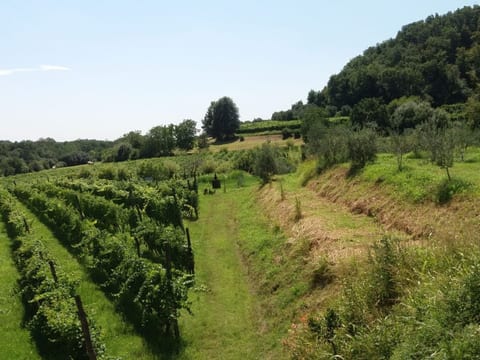 La Bosca Farm