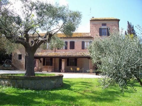 "Solebello Mulberry