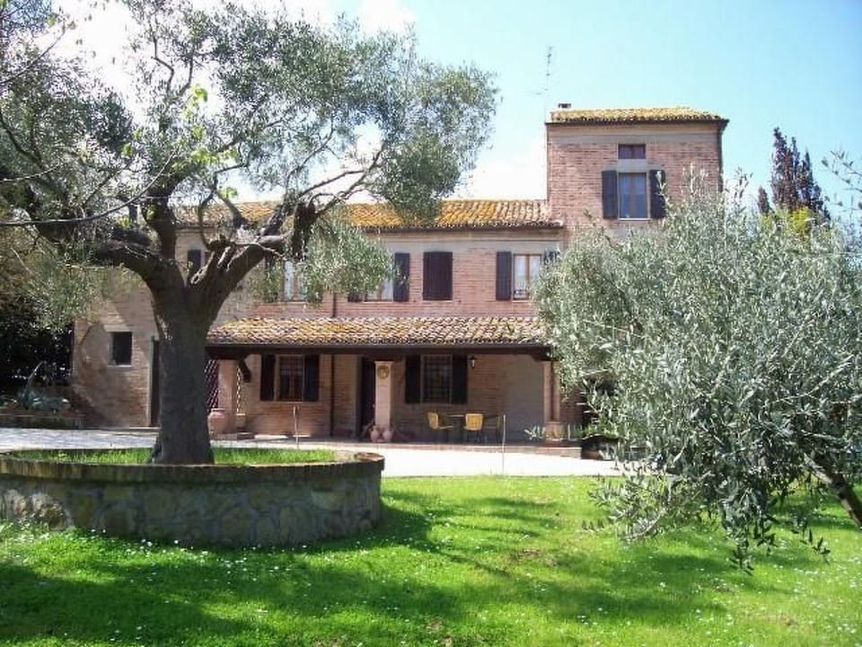 Solebello Mulberry - Belvedere Ostrense