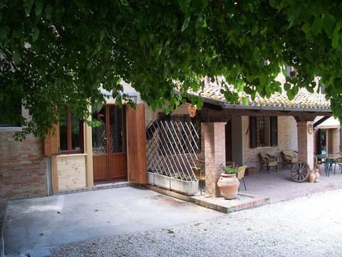 "Solebello Mulberry
