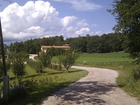 Wohnung mit Grill, Pool und Terrasse