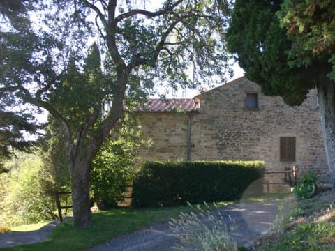 Priello, podere Toscano dell 600