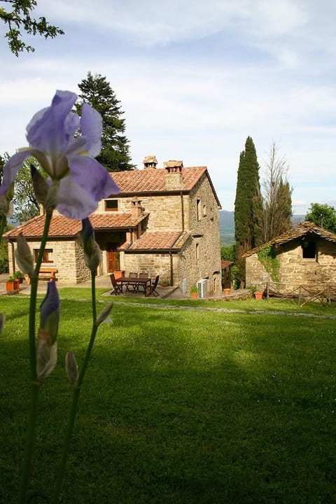Priello, podere Toscano dell 600