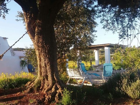 Trullo 'Vallegna' mit privatem Garten und Grill