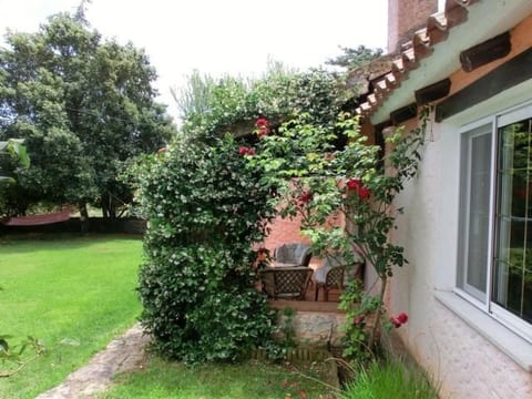 Anwesen "Oase der Ruhe in der Natur" mit Terrasse