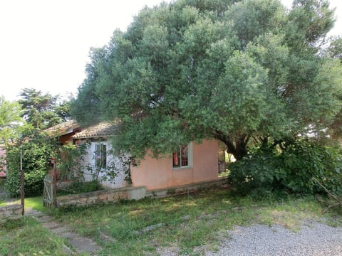 Anwesen "Oase der Ruhe in der Natur" mit Terrasse