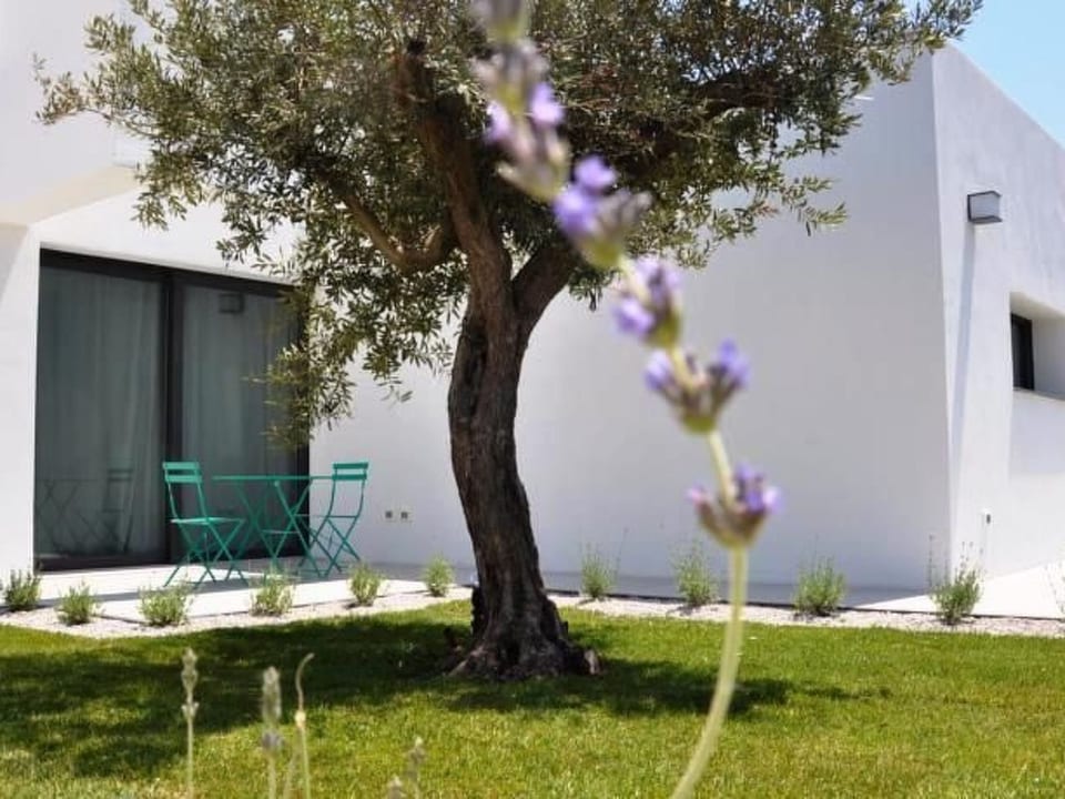 Mare e Dune - Free municipal consortium of Agrigento
