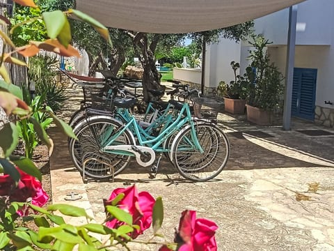 Studio 2 pax Signorino Resort