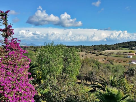 Finca "Mallorca Muro" mit Garten und Grill