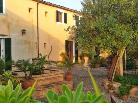 Finca "Mallorca Muro" mit Garten und Grill