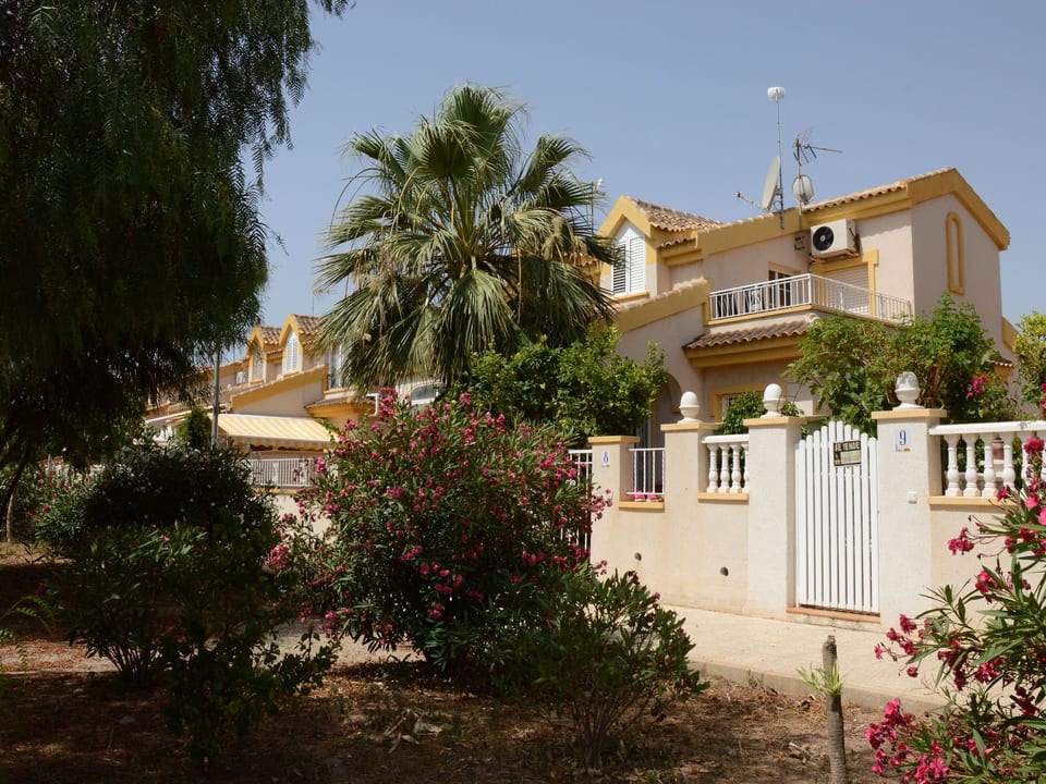 Olivos 8 - El Carmolí