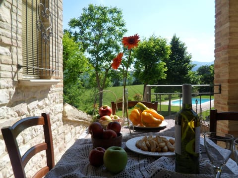 Girasoli in Cagli