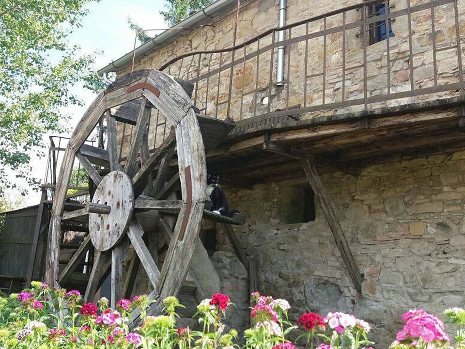 Landgut Il Molino mit Terrasse und Garten - Poppi