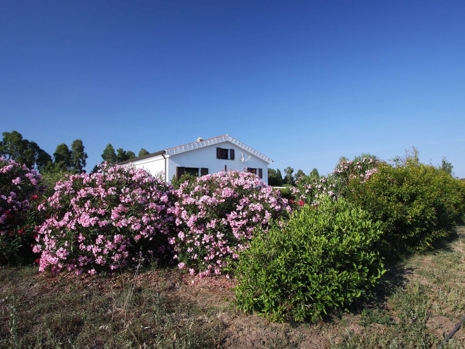Landgut Casa Gollei - Cala Liberotto