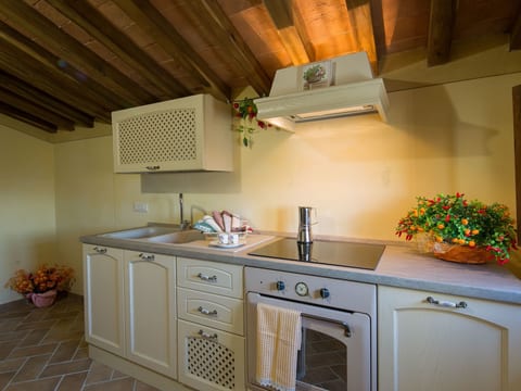 Villa 'Borgo delle Spighe