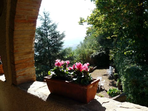 Villa 'Cimpoli casa' mit Garten und Grill