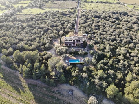 Finca Mallorquina