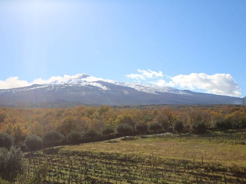 Villa Alloro" inmitten der Nerello-Mascalese-Reben