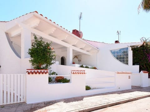 Molino 24