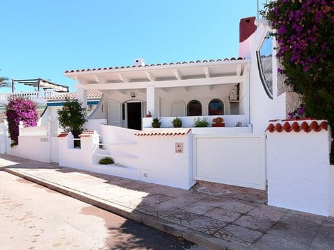 Molino 24
