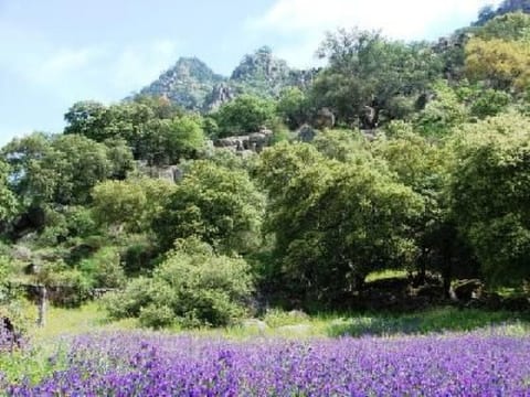 The Barn at Finca al-manzil