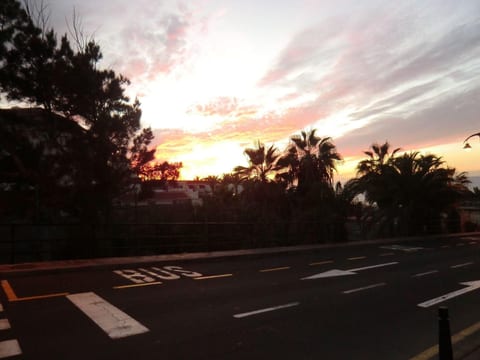 Adelfa