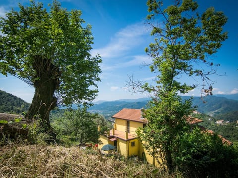Villa Garibaldino