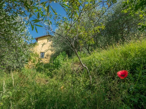 Villa Garibaldino
