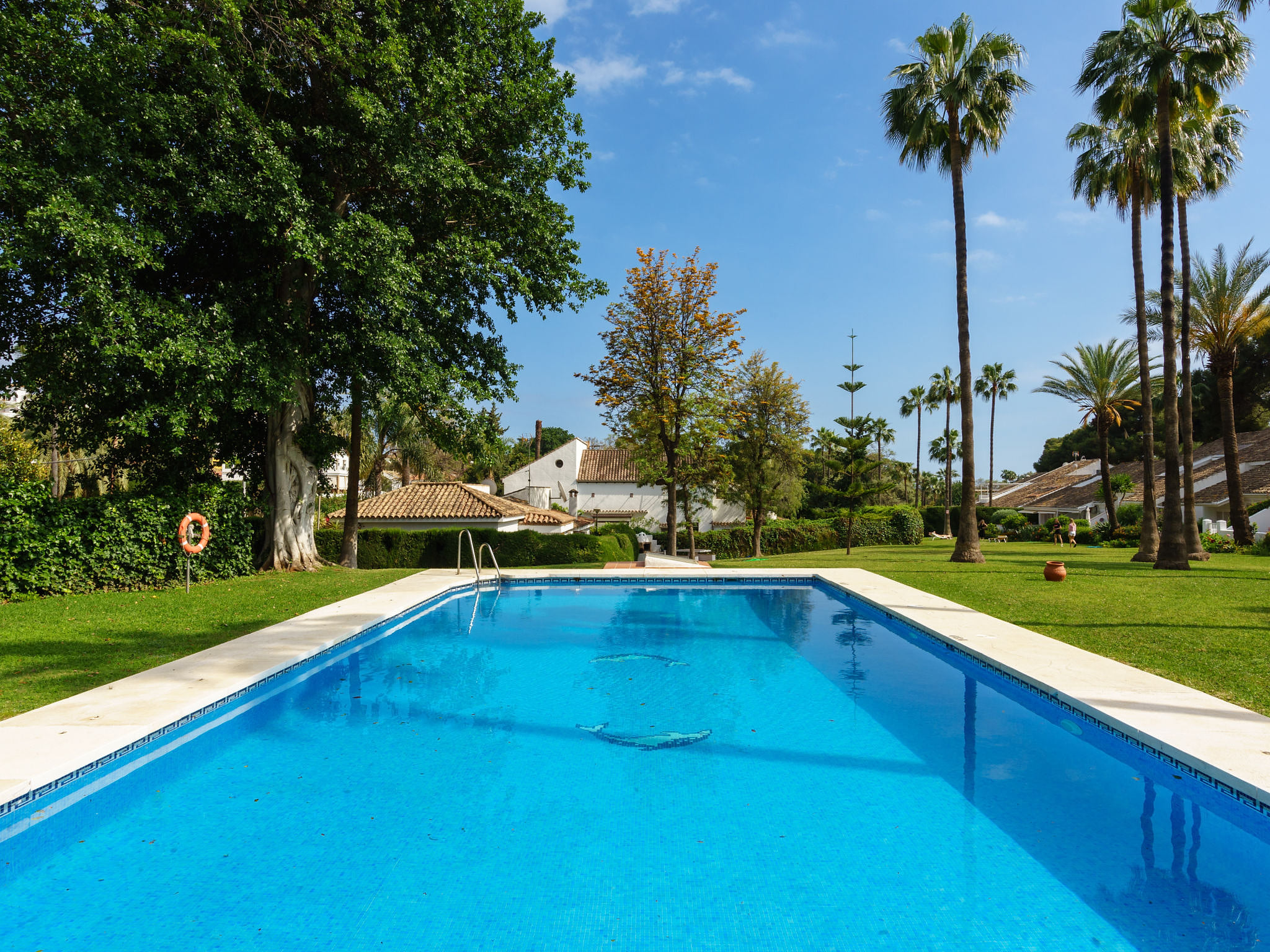 Pool Outdoor