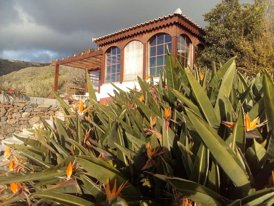 Erdhaus - Arco da Calheta