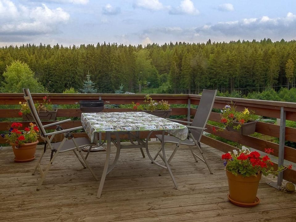 Appartement mit Bergblick - Bad Elster