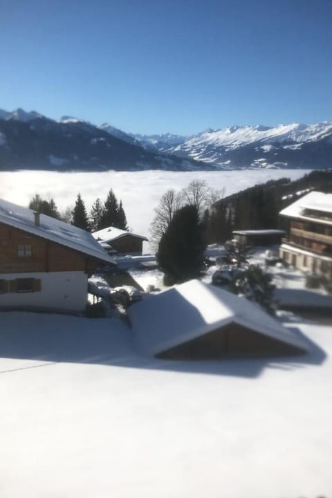 Chalet Friedheim