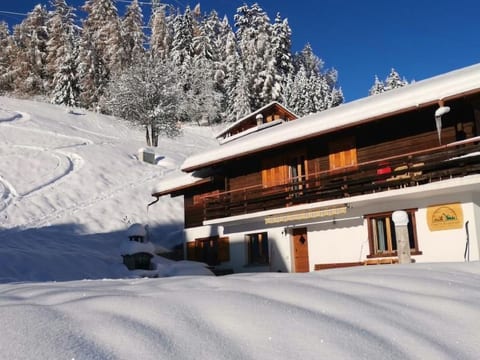 Chalet Écureuil
