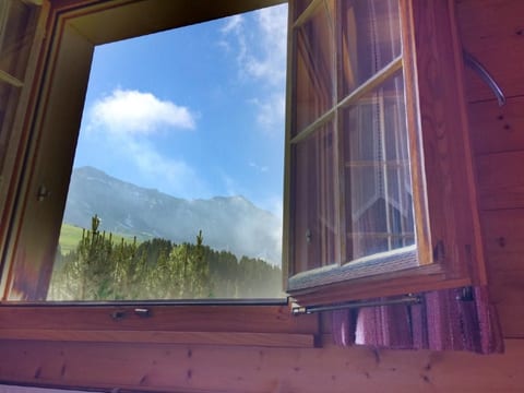 Chalet Bärgblüemli