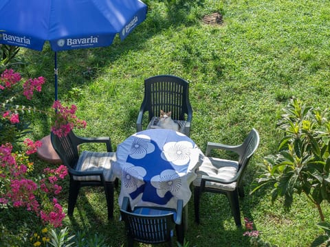 Appartement in Jadranovo mit Garten und Grill