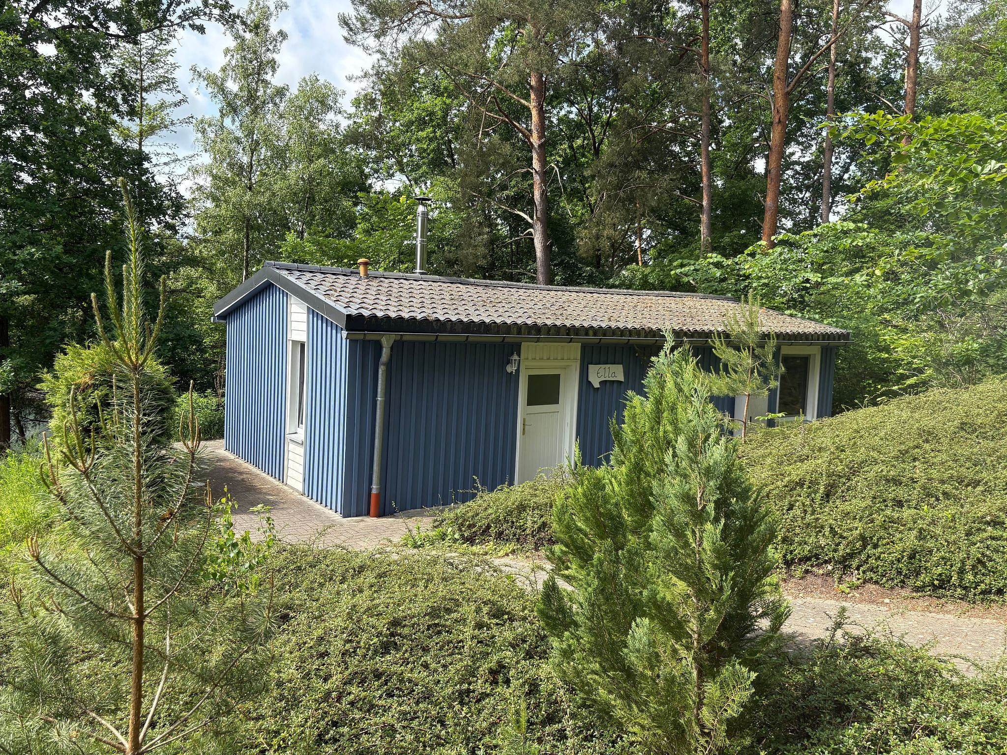 Waldhäuser