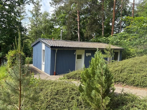 Waldhäuser