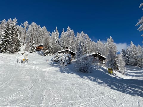 Chalet Belland