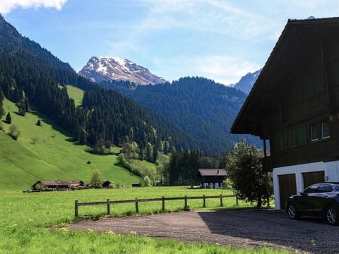 Chalet mit Bergblick