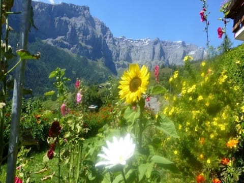 Chalet Abendstern