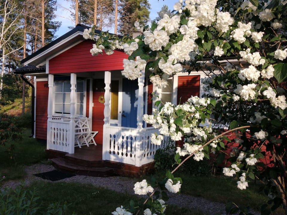 Karlsson - Fågelfors