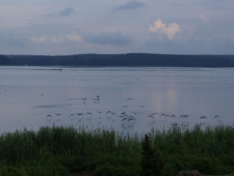 Haus Seeperle - Plau am See