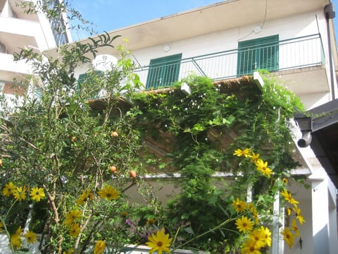 Apartman Sulic