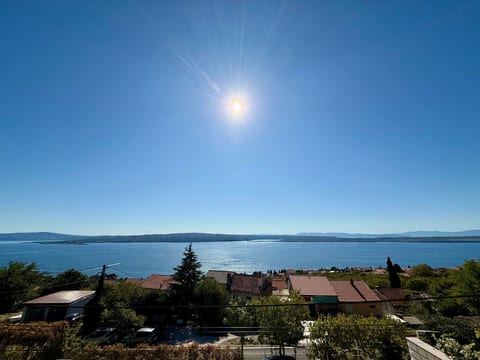 Vista Bliss