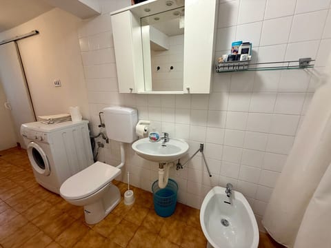 Ruža 4
